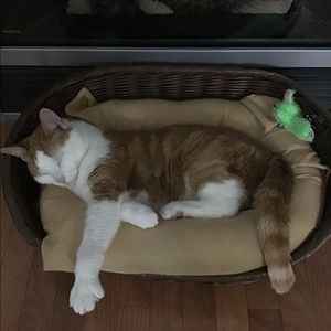 Meet your Posher, Susan